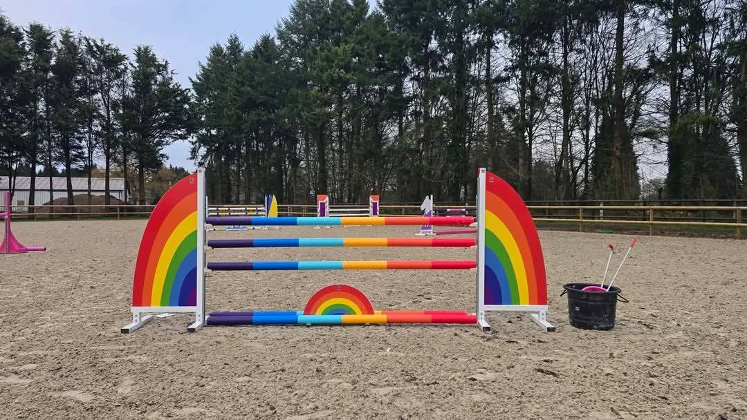 Pension cheval / poney &eacute;curie de sport dans l'Eure 