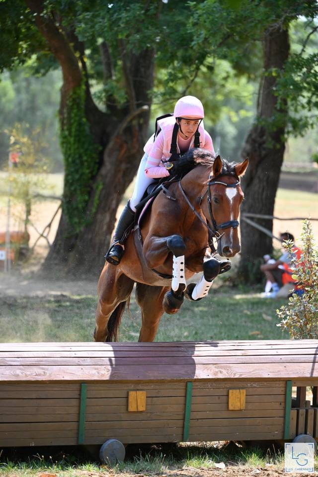 Hongre 5 ans CCE amateur 