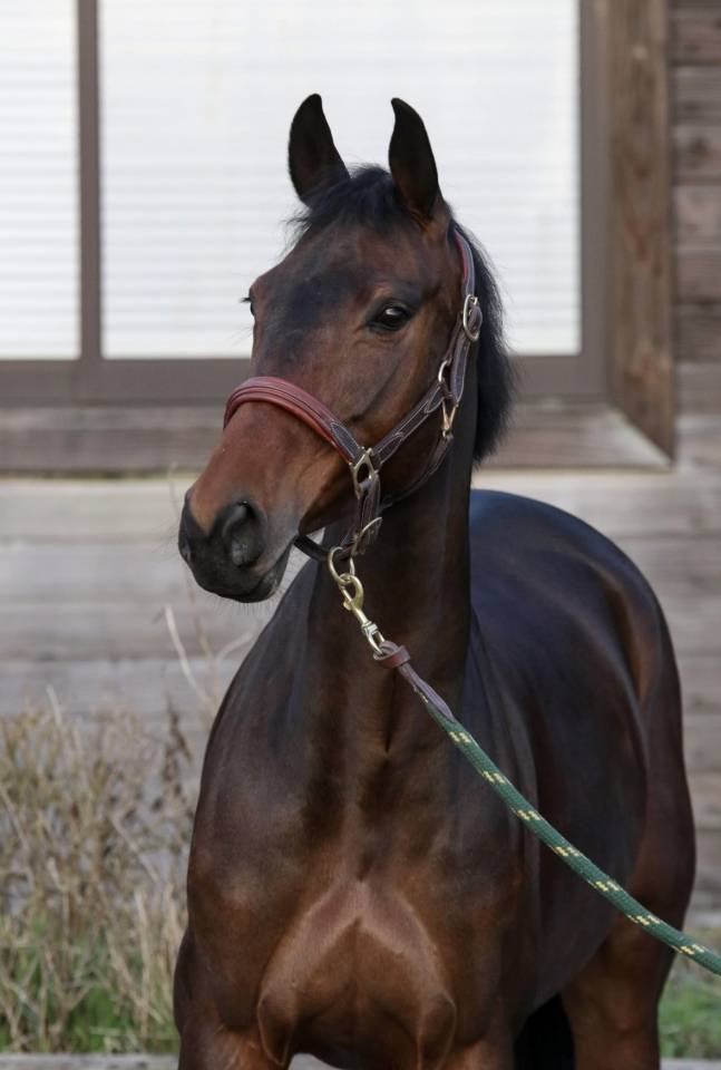 Recherche DP pour High Five 