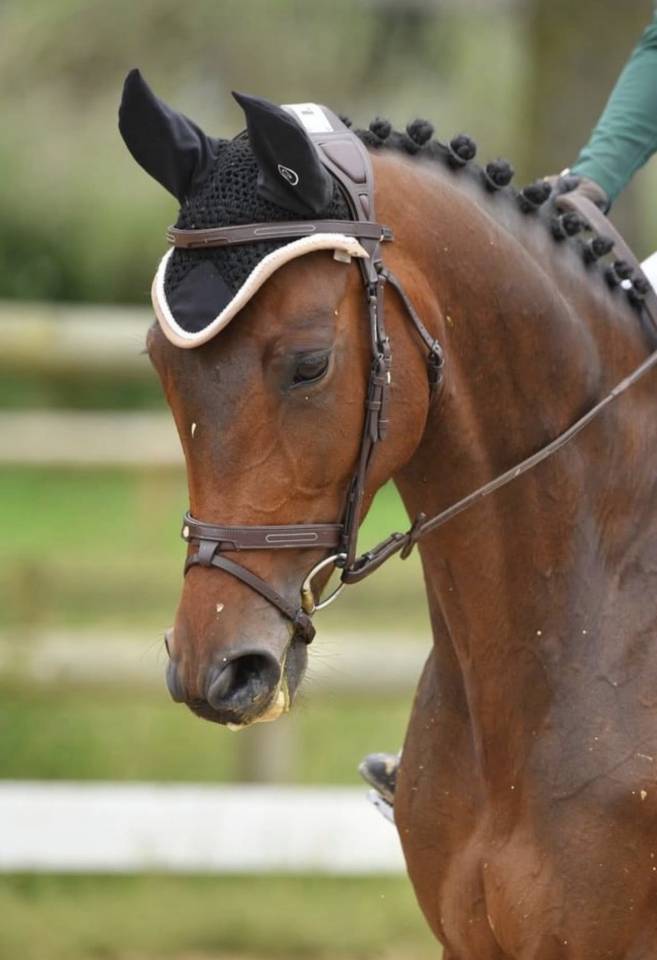 Recherche DP pour High Five 