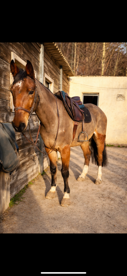 EUREKA D&rsquo;HELBY 