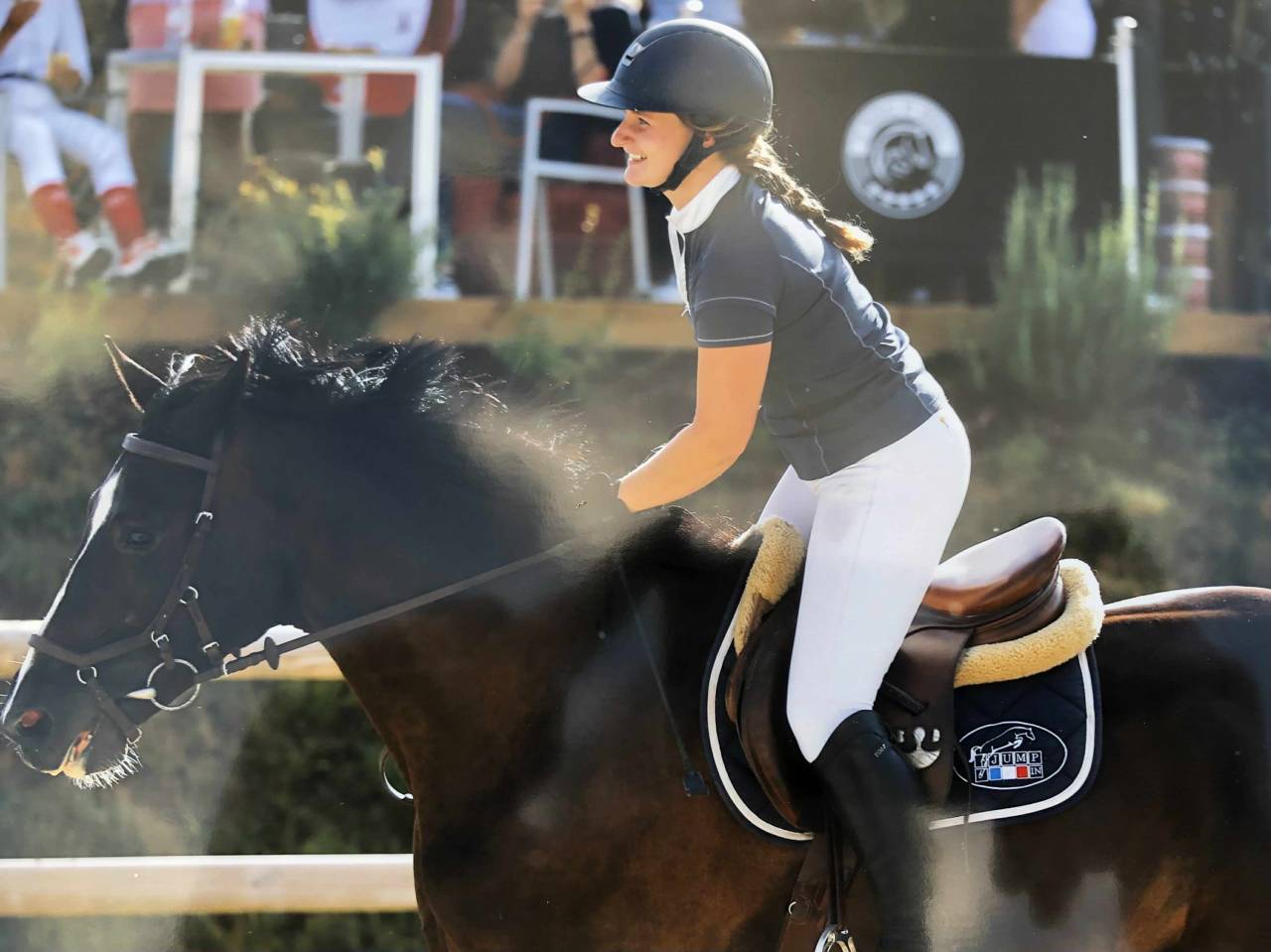 Hongre selle fran&ccedil;ais 