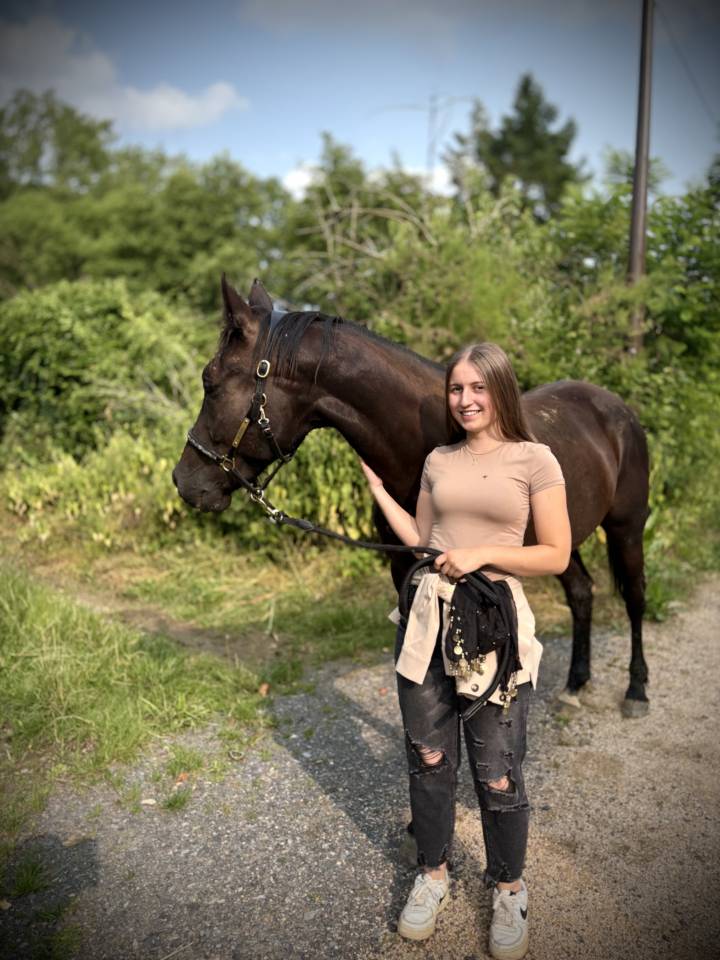 Rechercher emploi palefrenier soigneur  