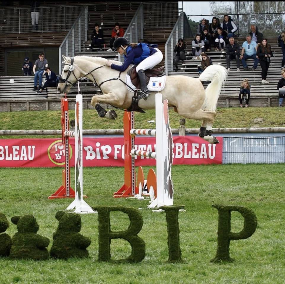 Pouliche Connemara part bred 