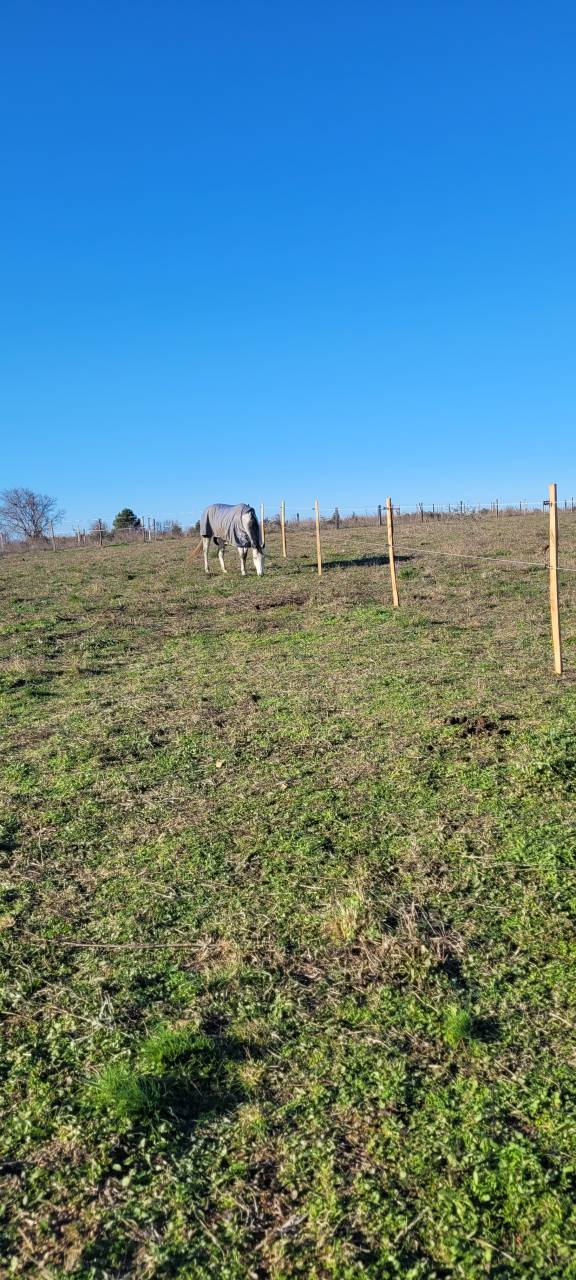 Pension chevaux - Le domaine d'&eacute;quilis - 30600 Vauvert