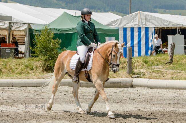 Magnifique hongre avec de bonnes allures et un entra&icirc;ne