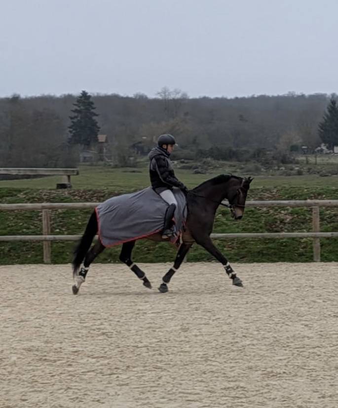 ID&Eacute;AL D&rsquo;AZIF 