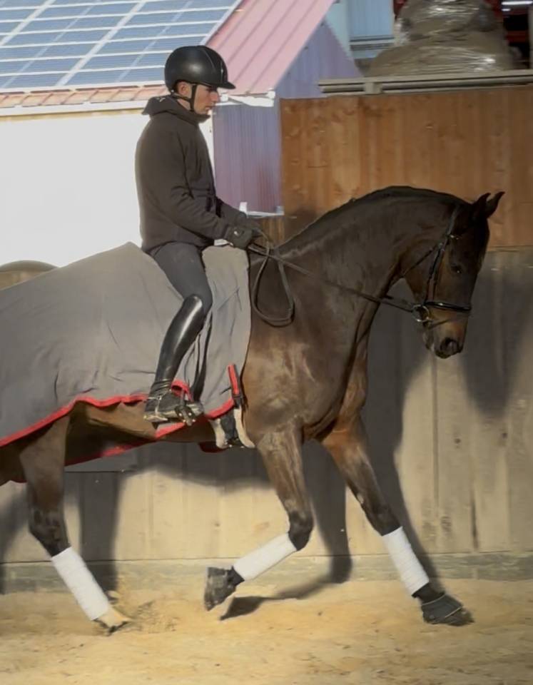 ID&Eacute;AL D&rsquo;AZIF 