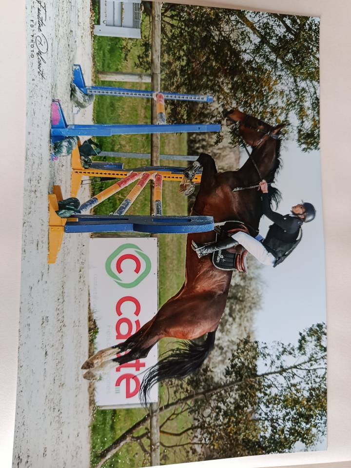 A vendre Baya Delaconterie 