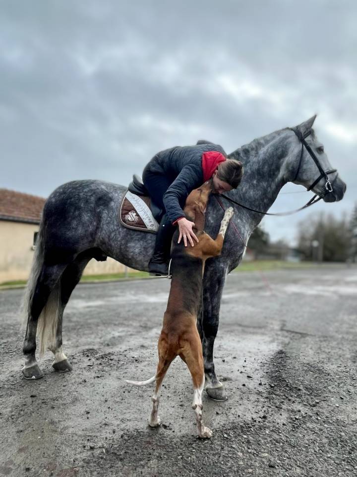 Pure race espagnole 10 ans 1m68 c&acirc;lin et gentil