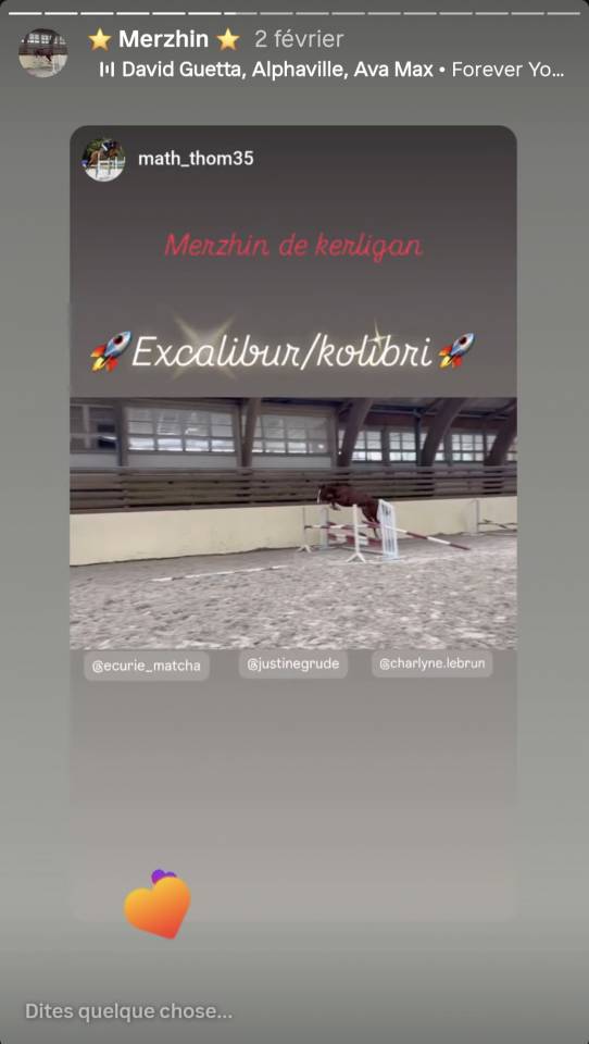 Hongre 4 ans par Excalibur dela Tour Vidal 