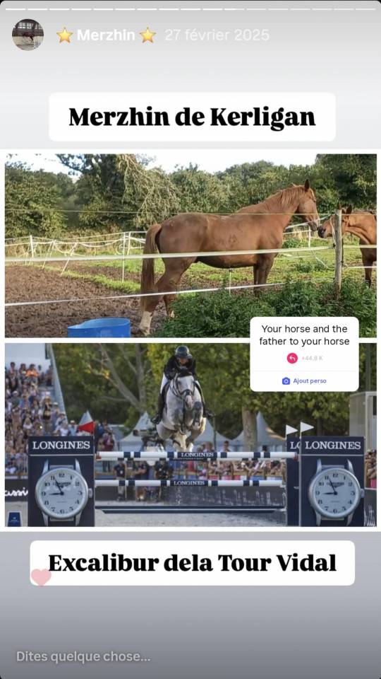 Hongre 4 ans par Excalibur dela Tour Vidal 