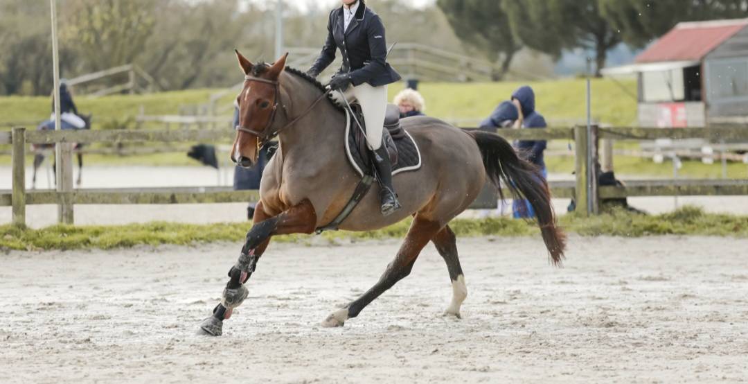 Jument 8 ans ni&egrave;ce de Vestale de Mazure*HDC