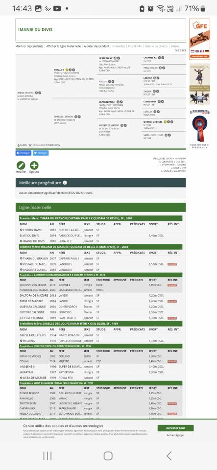 Jument 8 ans ni&egrave;ce de Vestale de Mazure*HDC