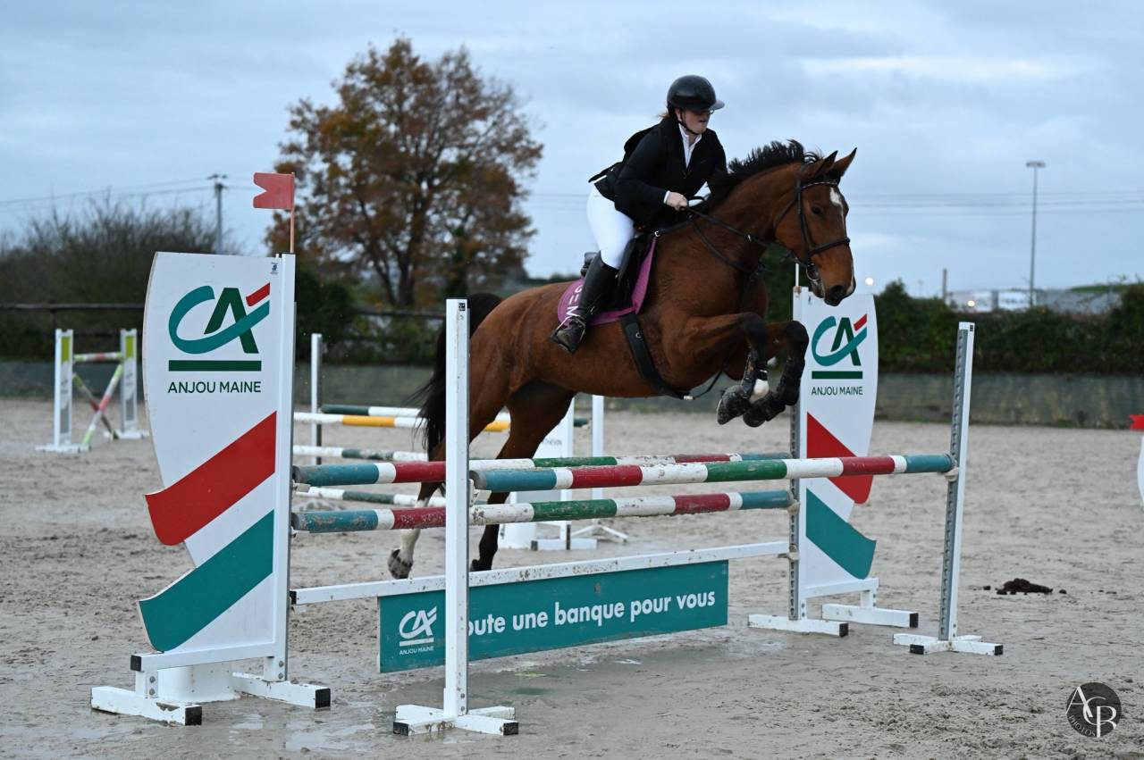 Super jument ma&icirc;tre d &eacute;cole 