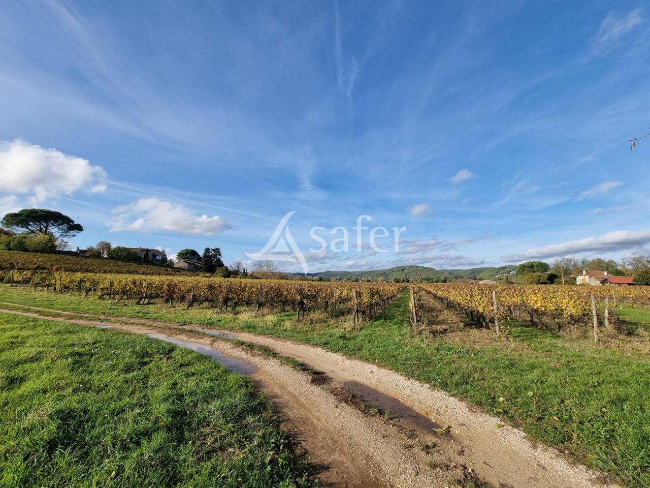 Propri&eacute;t&eacute; dans la Vall&eacute;e du Lot, en zone AOC Cahors