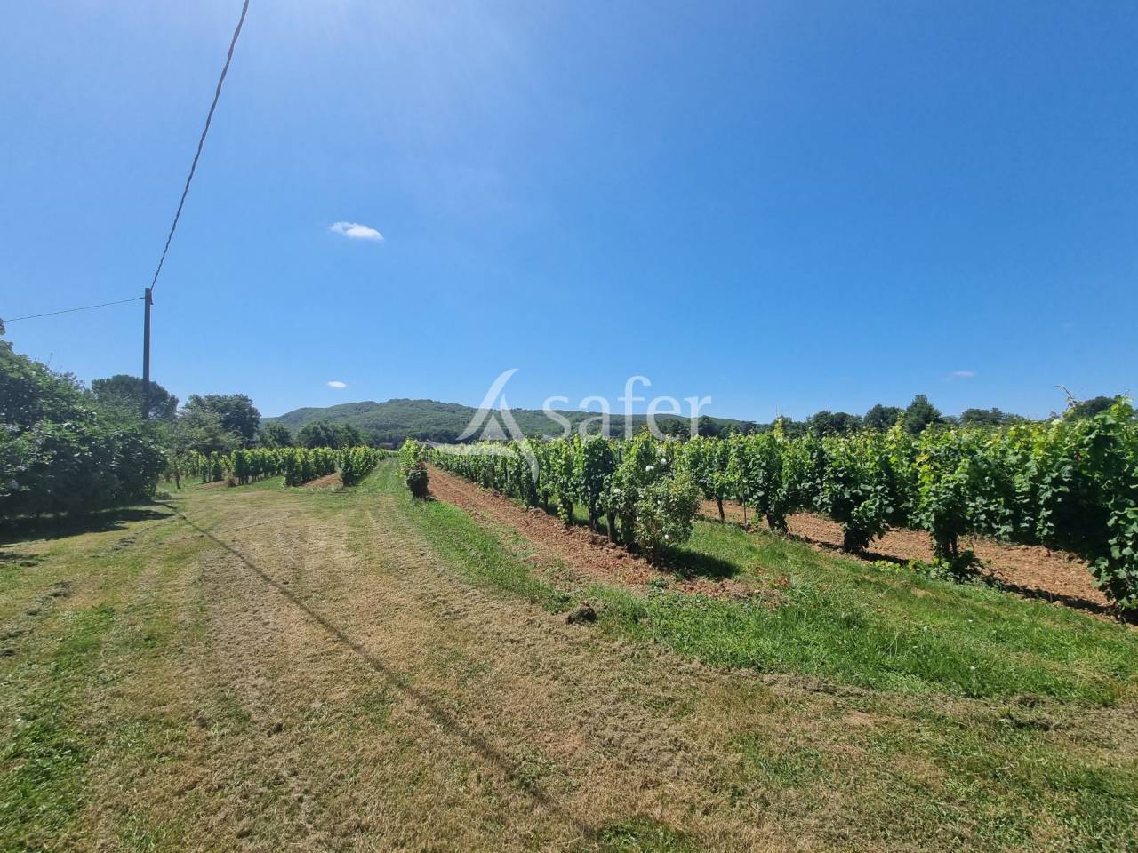 Propri&eacute;t&eacute; dans la Vall&eacute;e du Lot, en zone AOC Cahors