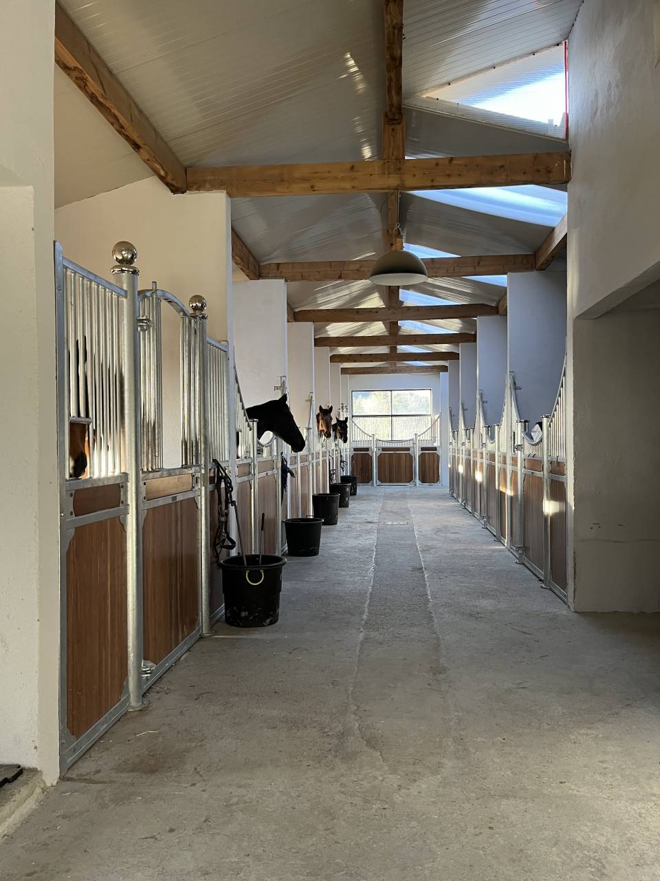 Recherche Cavalier Polyvalent (?74)