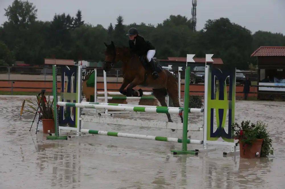 Jument CSO selle fran&ccedil;ais 