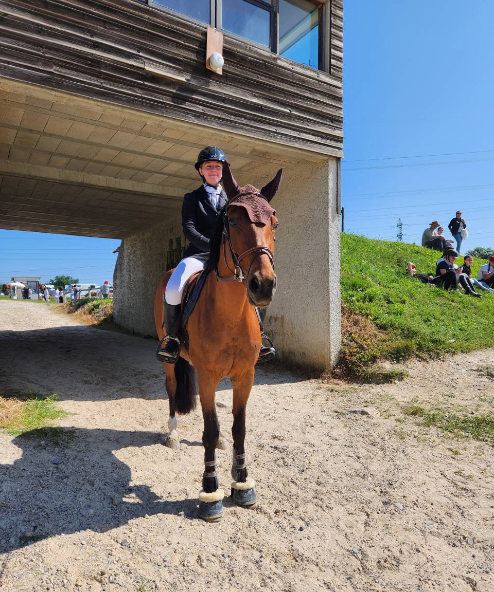 Jument CSO selle fran&ccedil;ais 