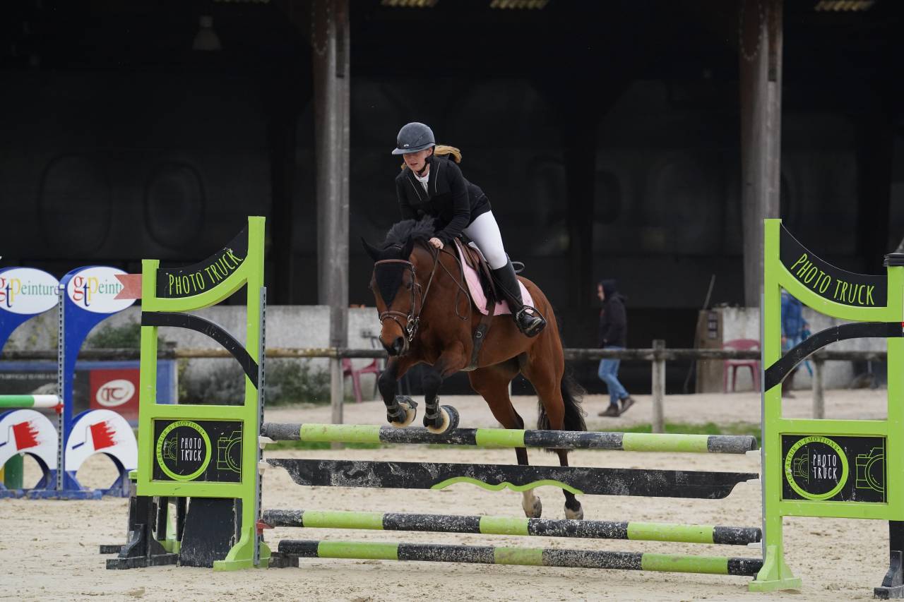 Jument CSO selle fran&ccedil;ais 