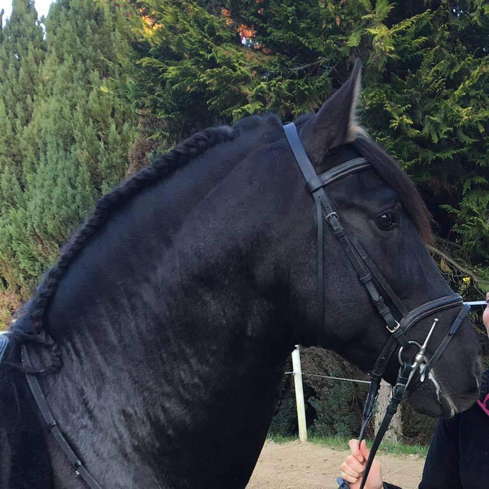 Entier PRE pp noir (Guardiola)