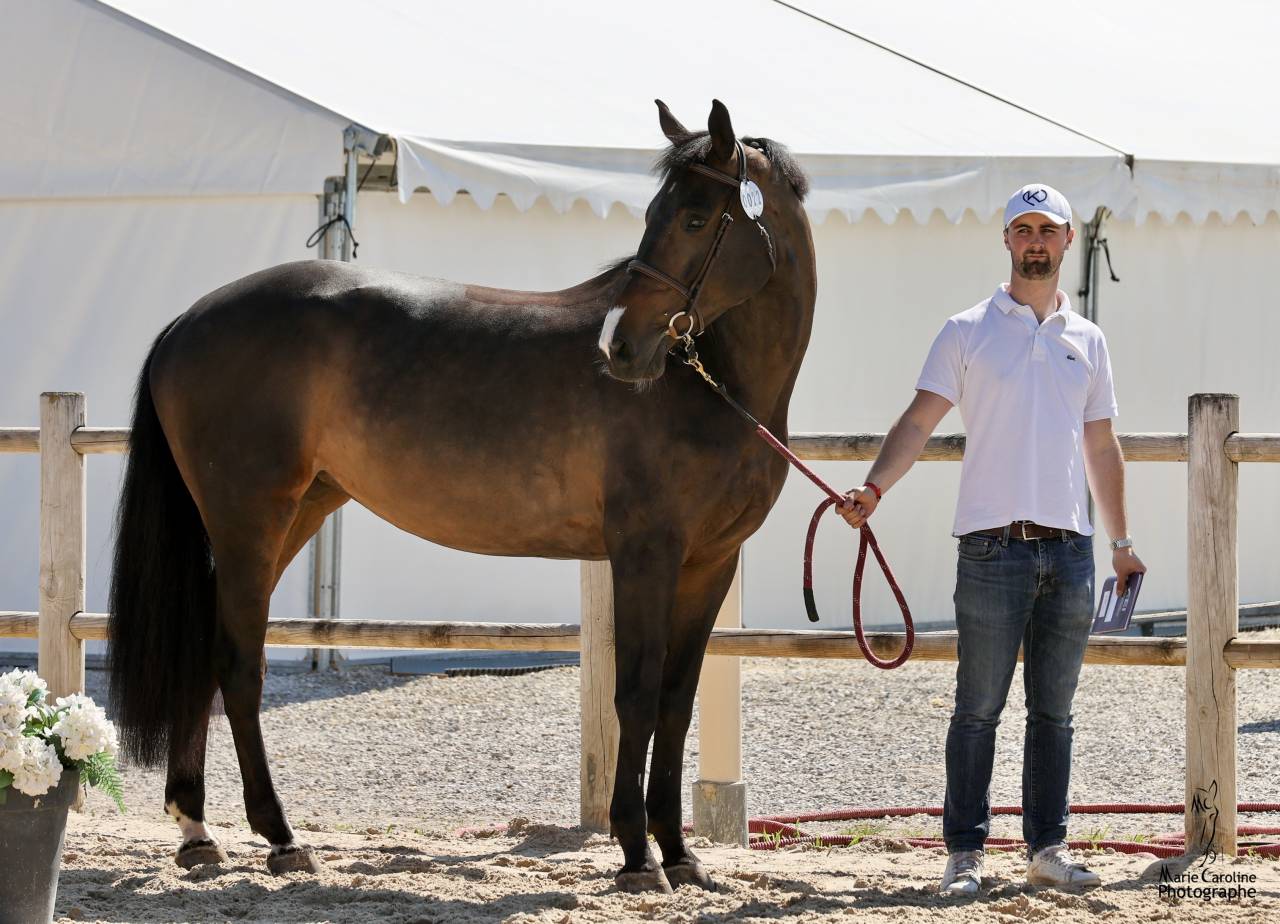 Jument de 10 ans class&eacute; en 125 top origine 