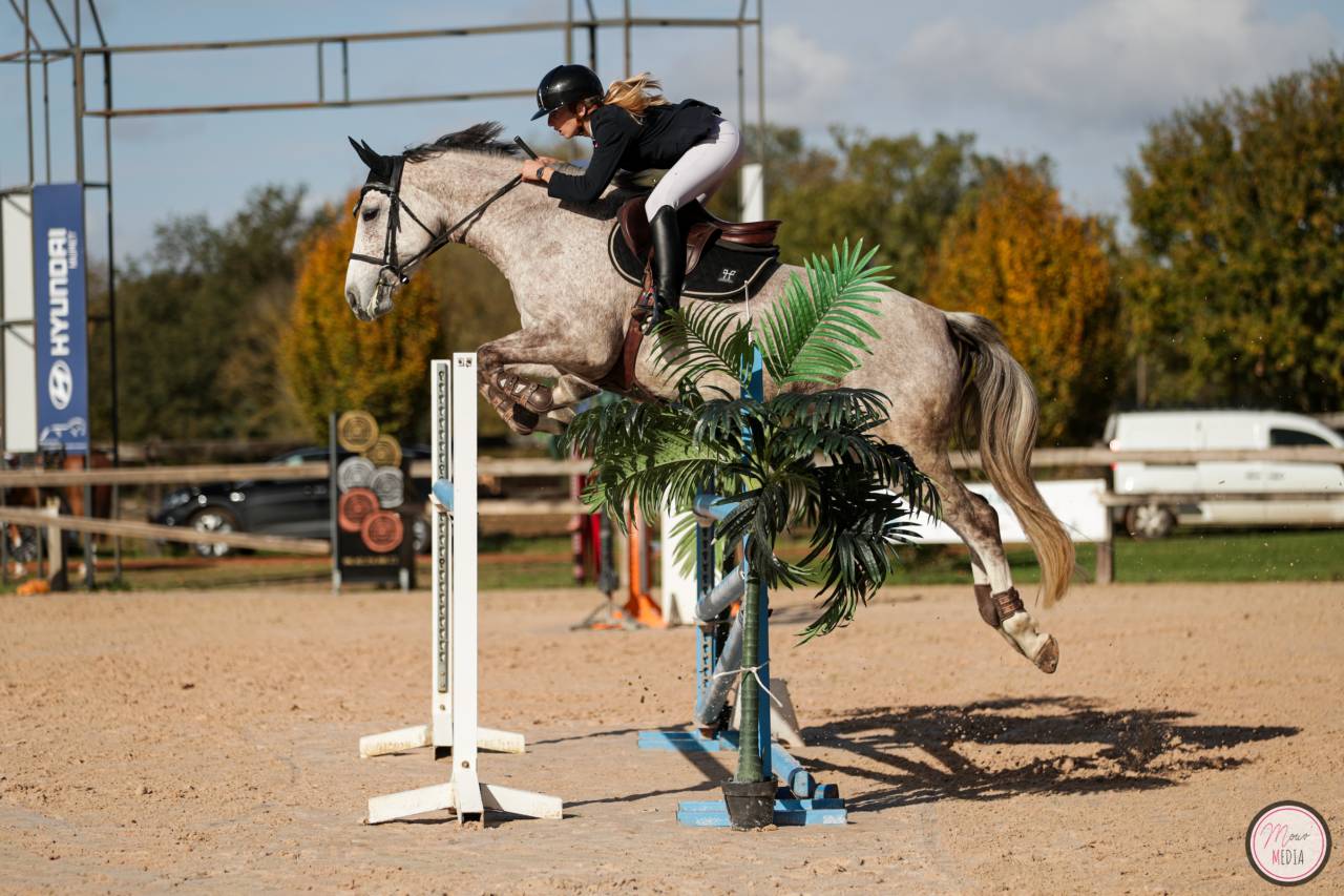 Jument SF par Candy de Nantuel 