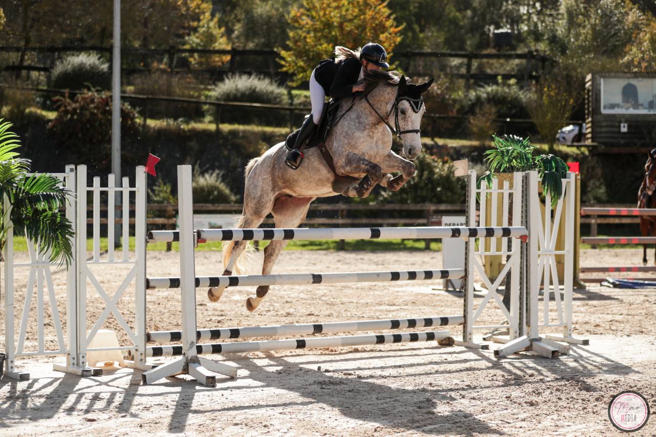 Jument SF par Candy de Nantuel 