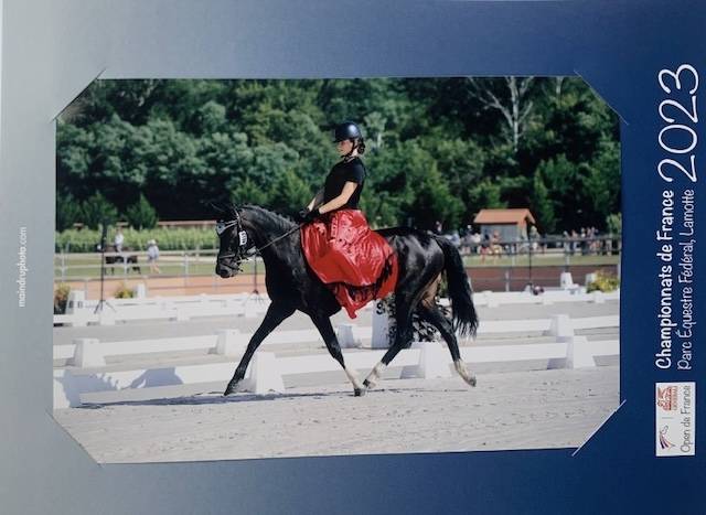 Ponette PP welsh de dressage 