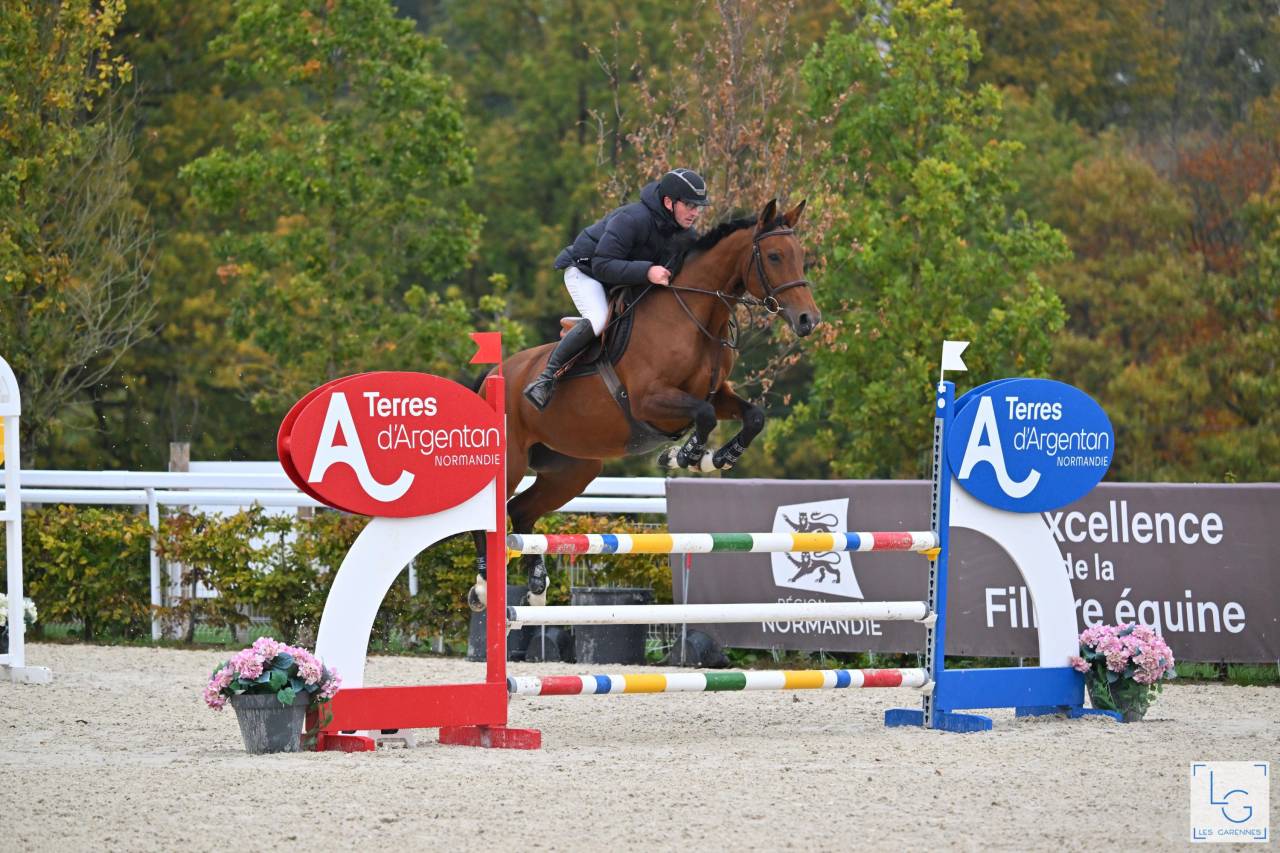 Jument Selle Fran&ccedil;ais par Canabis d&rsquo;Albain
