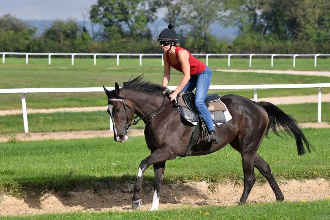 Cavalier d'entra&icirc;nement 
