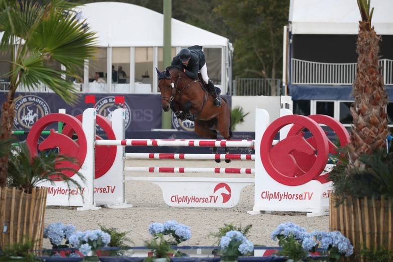 Top hongre 7 ans (2018) SF 140 TOP 7 