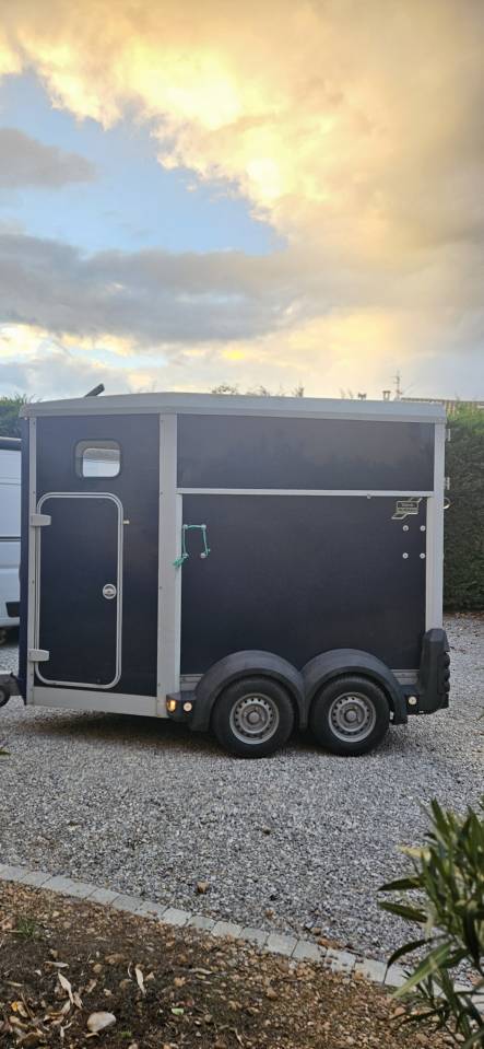 Van chevaux Ifor Williams - 1,5 place - Excellent &eacute;tat