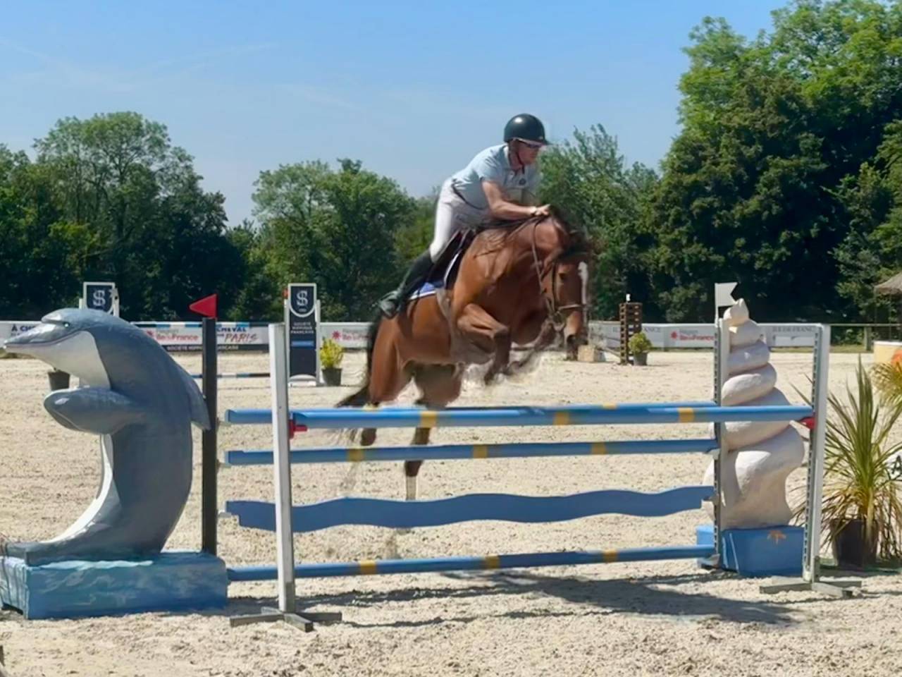 A VENDRE HONGRE SF 11ANS