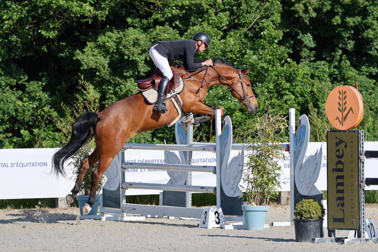 A VENDRE HONGRE SF 11ANS