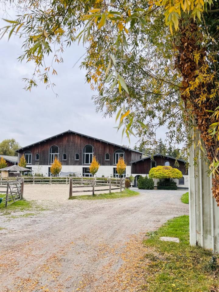 Pensions chevaux au Haras Montois 