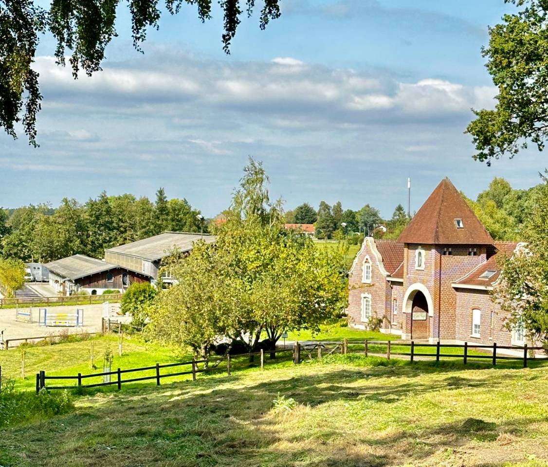 Pensions chevaux au Haras Montois 