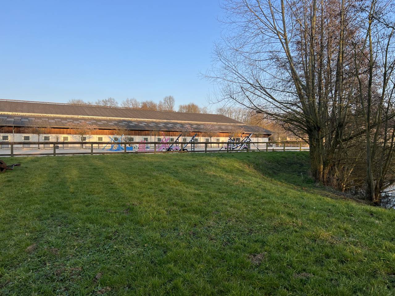 Pensions chevaux au Haras Montois 
