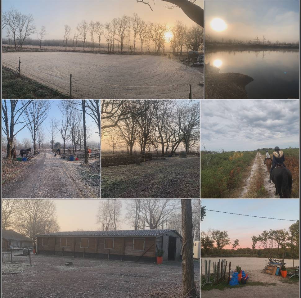 Ecurie de propri&eacute;taire 