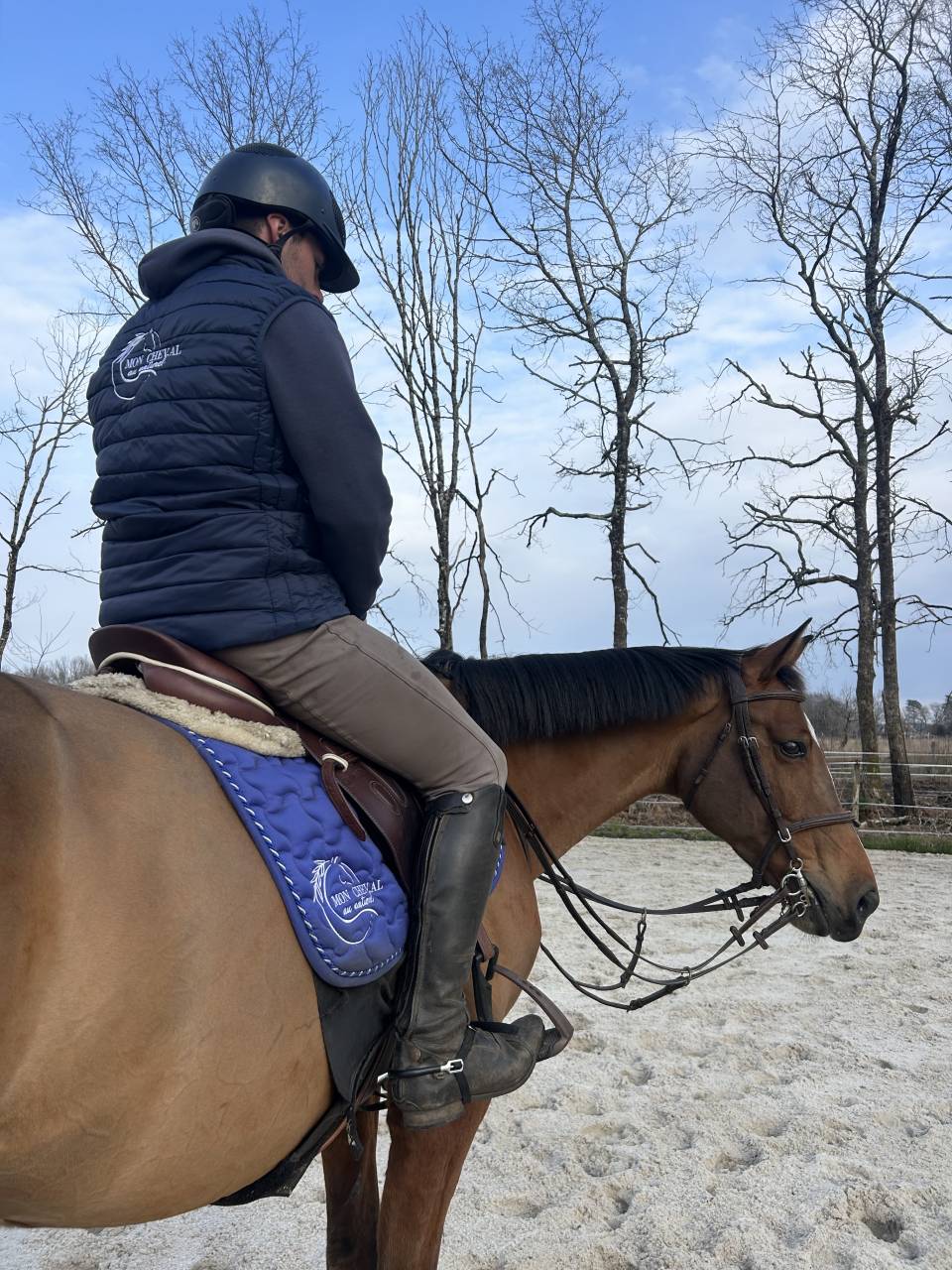 Ecurie de propri&eacute;taire 