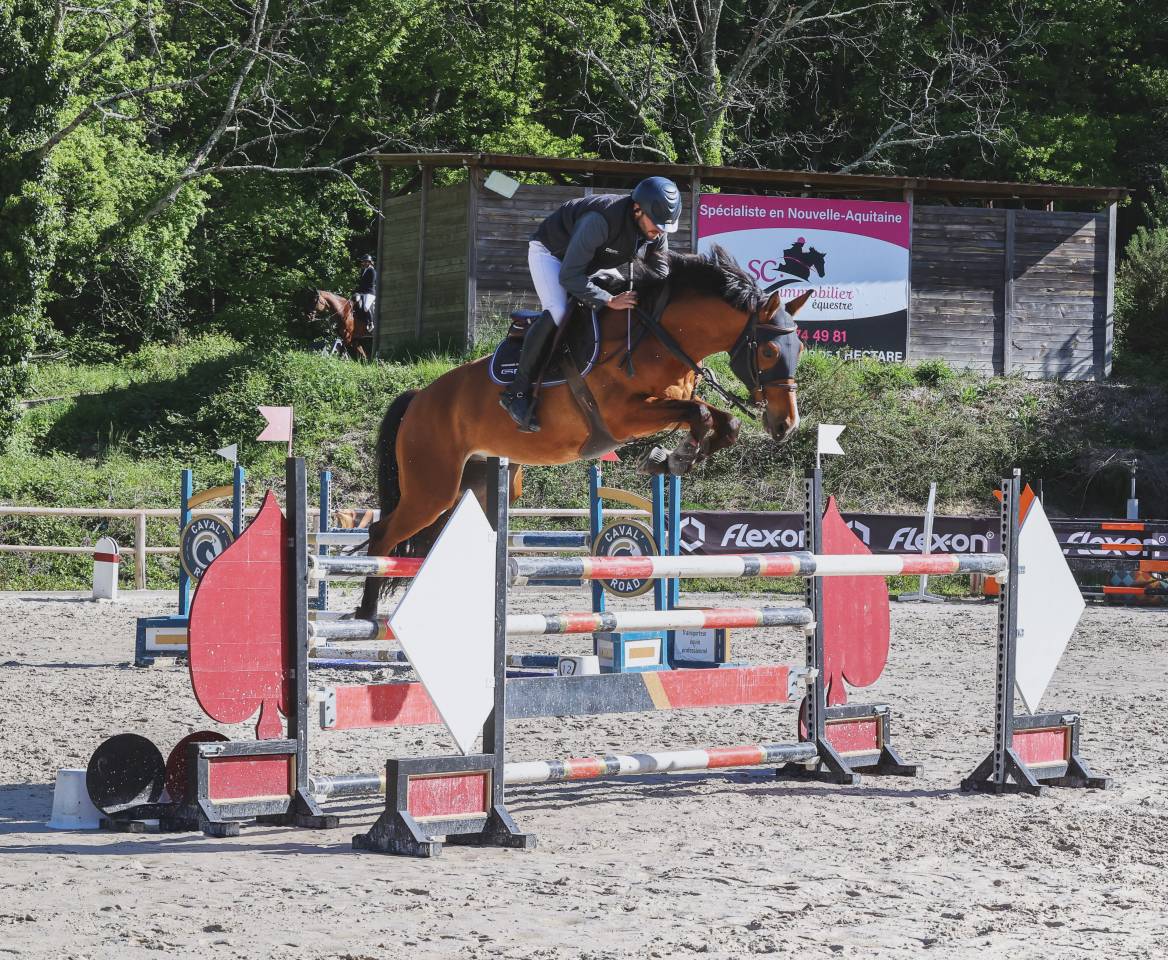 Ecurie de propri&eacute;taire 