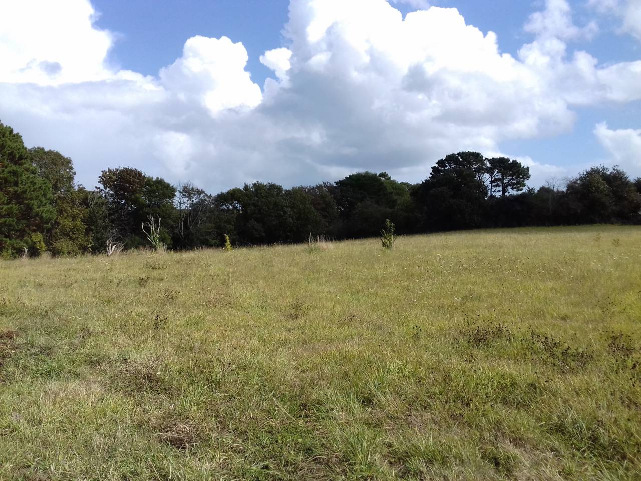 Pension pr&eacute; cheval - Plobannalec-Lesconil (Finist&egrave;re sud - 29)