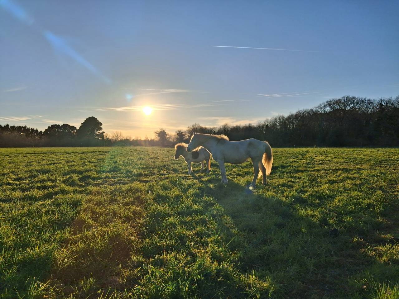 Pension pr&eacute; cheval - Plobannalec-Lesconil (Finist&egrave;re sud - 29)