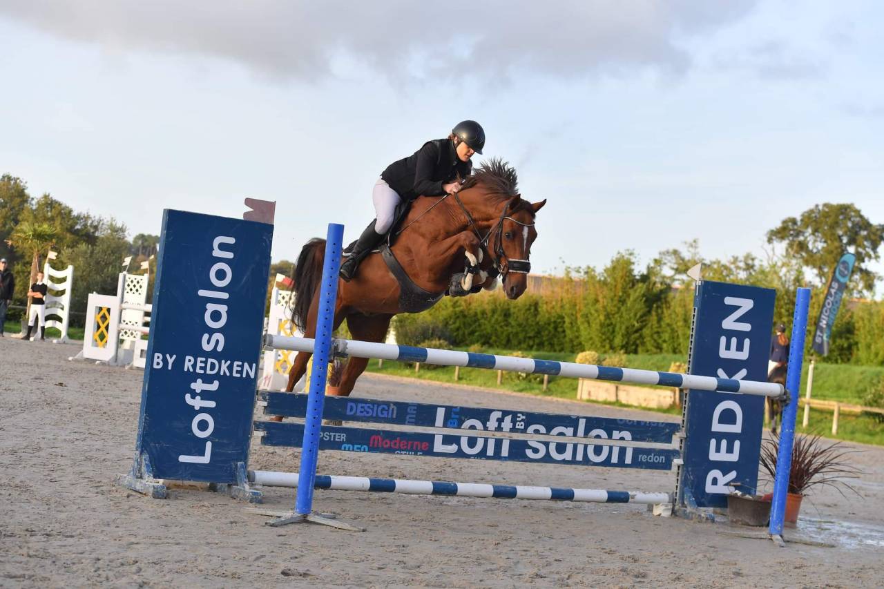 Magnifique &eacute;talon Zangersheide agr&eacute;&eacute; 