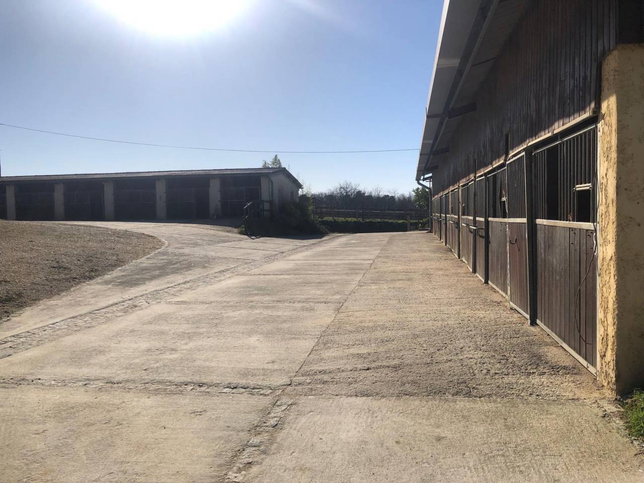 Propose pension chevaux au repos / baln&eacute;oth&eacute;rapie