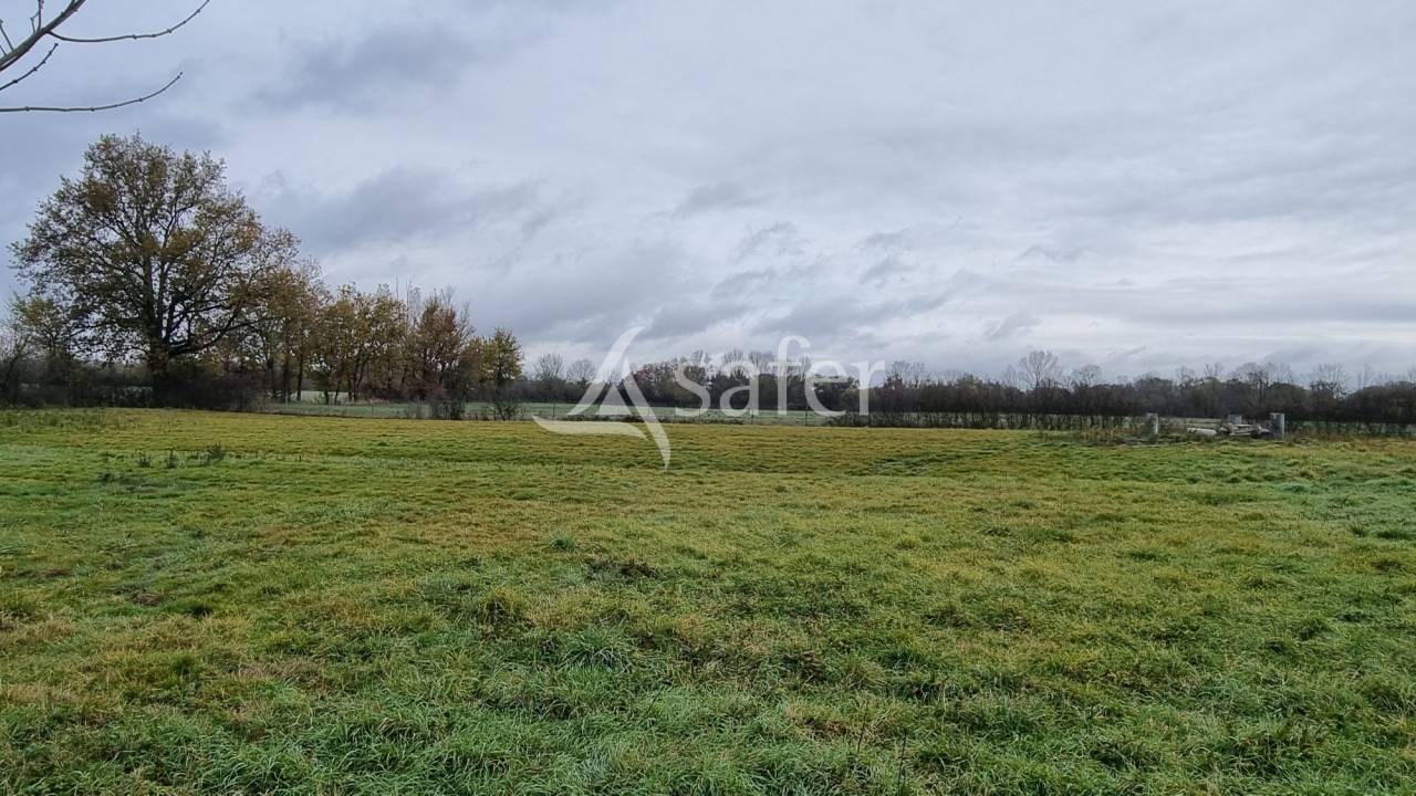 Propri&eacute;t&eacute; &eacute;questre 8ha Puylaurens TARN