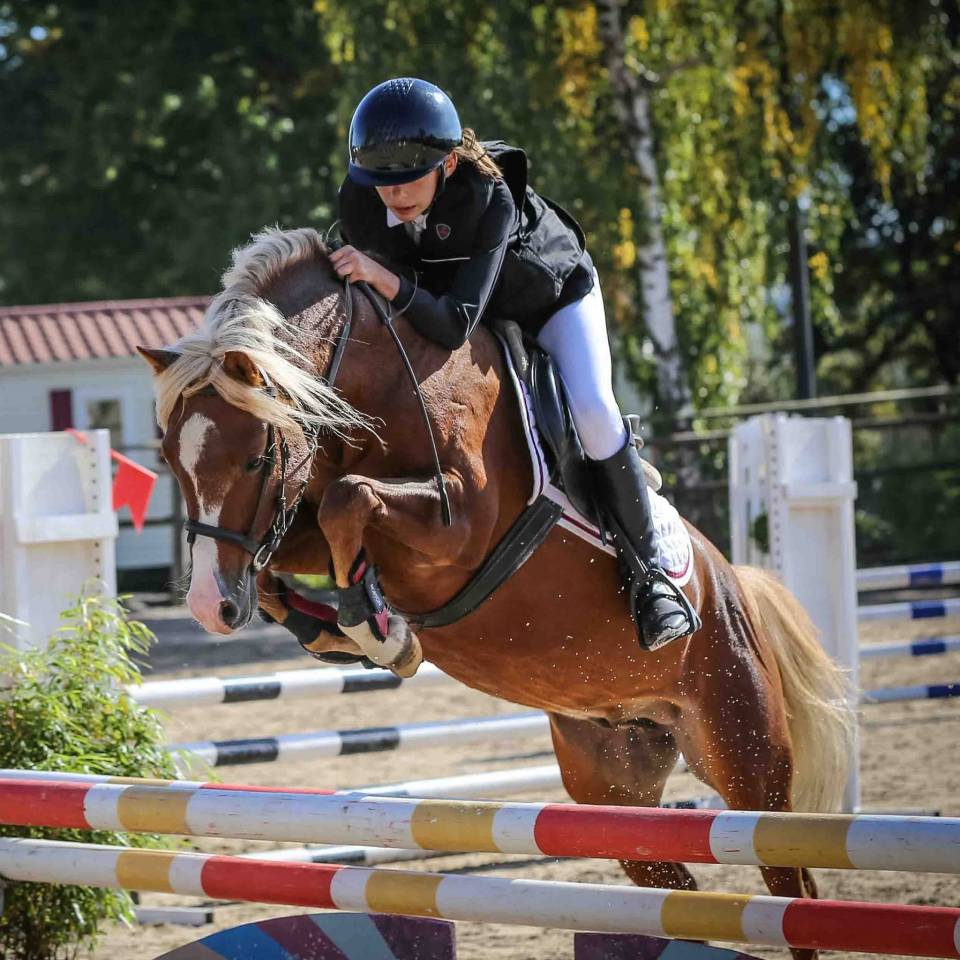 Ponette WA pleine de Golbury des Bertaines ipo138 