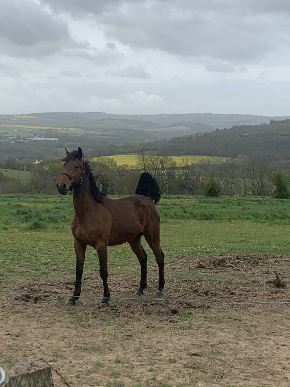 Derni&egrave;res Places Disponibles Pension Box