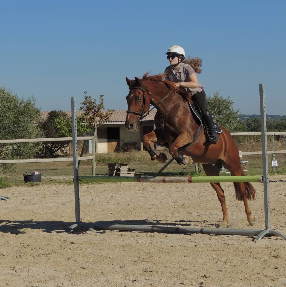 Petit cheval au grand coeur